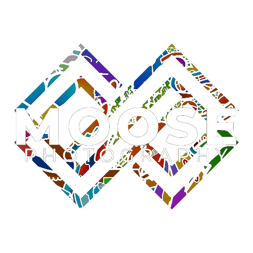 MooseGear